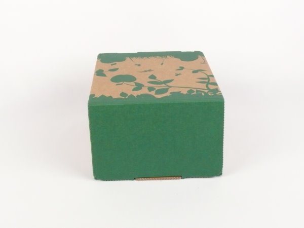 Karton Bag in Box 3 Liter braun-grün, Saftkarton, Faltkarton, Apfelsaft-Karton, Saftschachtel, Schachtel. - Bild 3